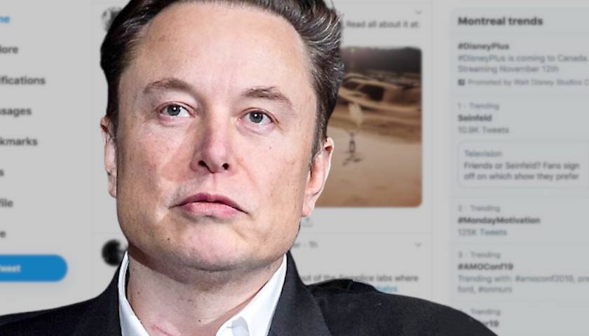 Elon Musk X EU